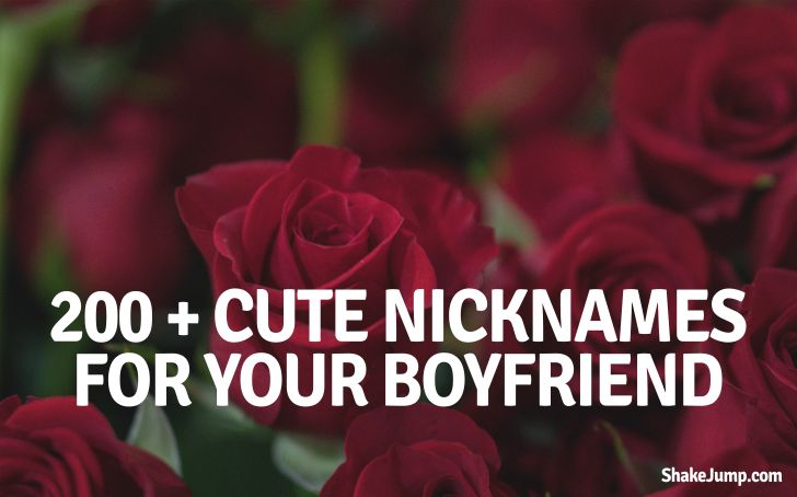 nicknames for boyfriends