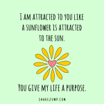 I am attracted to you like a sunflower is attracted to the sun.