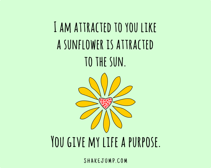 I am attracted to you like a sunflower is attracted to the sun.