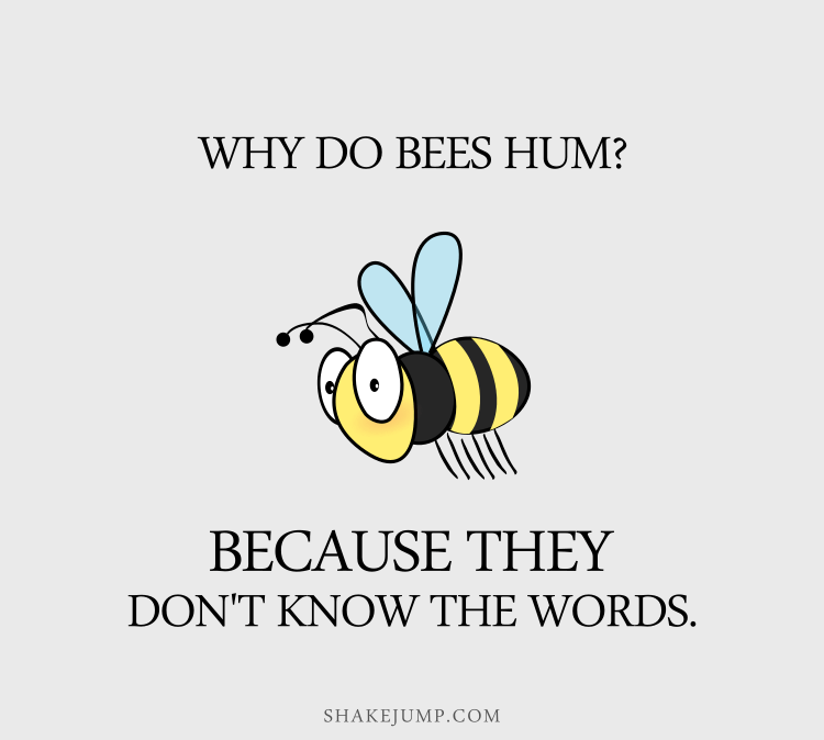 Why do bees hum? Because they don't know the words!