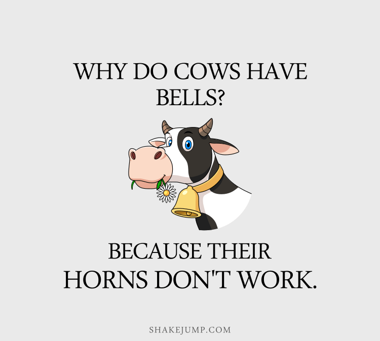Why do cows have bells? Because their horns don't work!