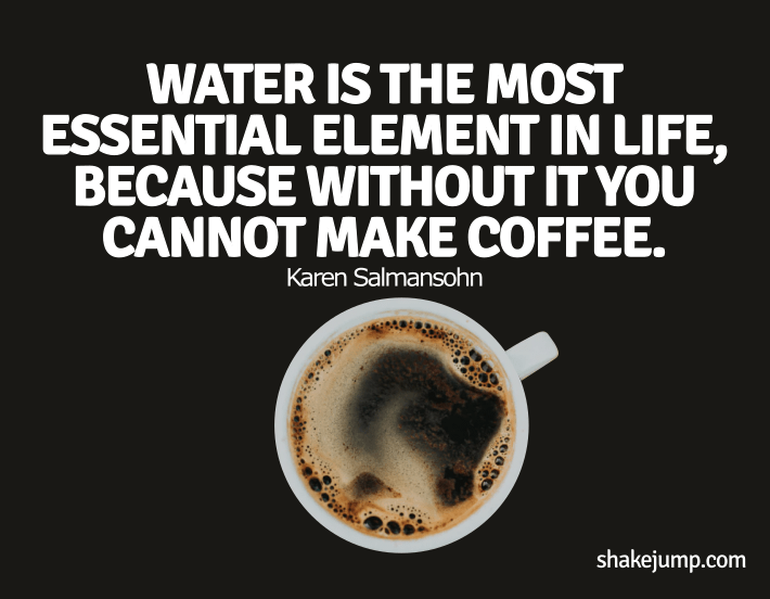 Water is essential because it makes coffee - Karen Salmansohn funny one liner quote