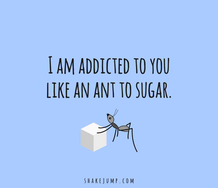 I am addicted to you like an ant to sugar.