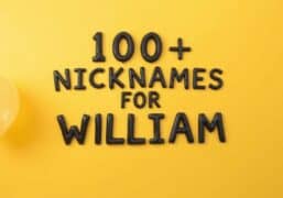 nicknames-for-william.jpg