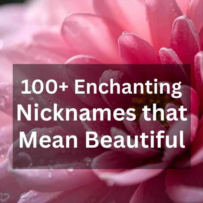 100+ Enchanting Nicknames That Mean “Beautiful”: A Global Collection of Terms of Endearment